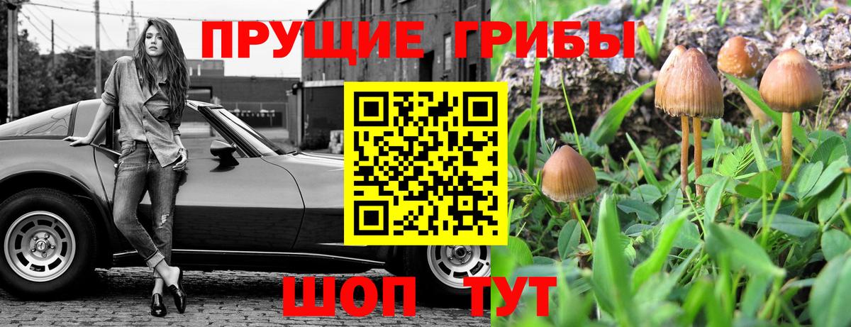 НБОМе  ГАШИШ  ГАШИШ  Кокаин  Мефедрон   Новоалександровск  Конопля  Вход с VPN 
