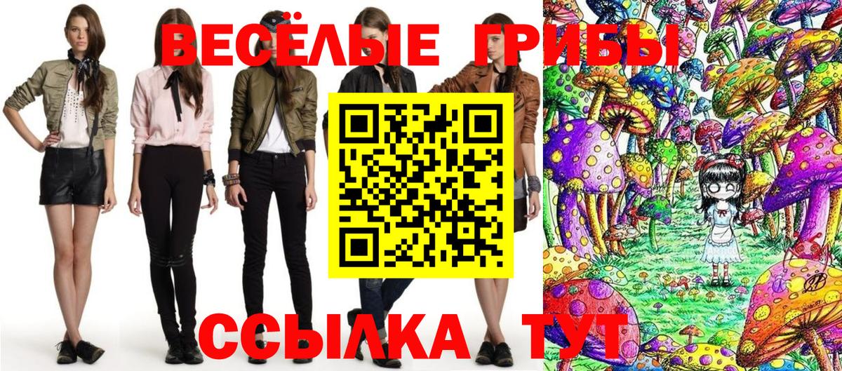 Псилоцибиновые грибы Magic Shrooms Новоалександровск
