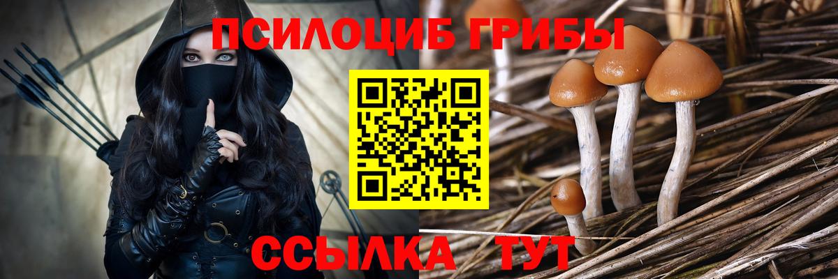 Псилоцибиновые грибы мухоморы  Вход с VPN  Новоалександровск 